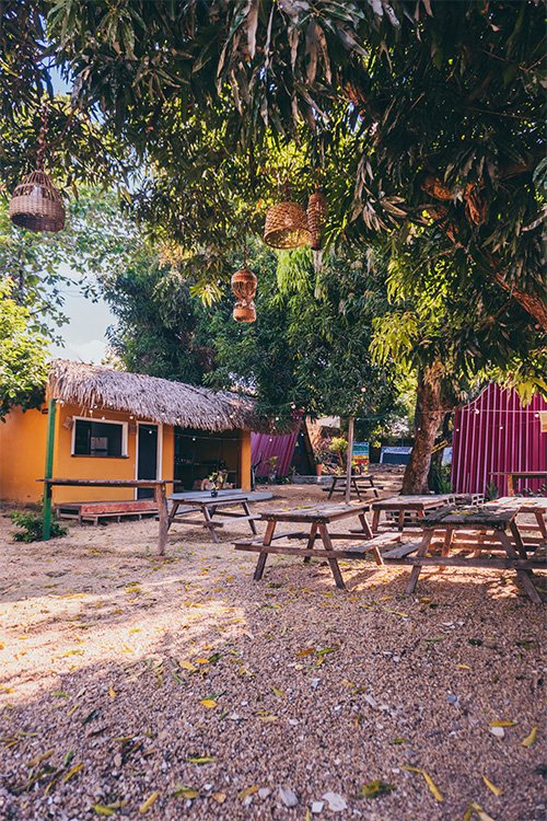 _DSC7410.jpg_0006_DSC04525